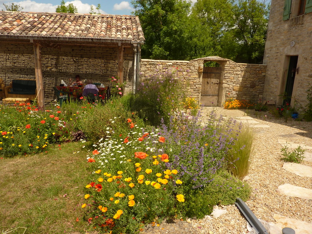 Garden Flowers in June